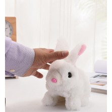 Sole Yürüyen, Sesli Hareketli Sevimli Peluş Bunny Tavşan - Sweet Bunny