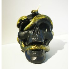 The Lucid Lab Snake Skull Mum