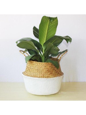 Shanhua Shop Beyaz Stil Ev Depolama Katlanabilir Doğal Seagrass Dokuma Depolama Sepeti Pot Bahçe Çiçek Vazo Asılı Hasır Sepet Karınlı Sepetler (Yurt Dışından)