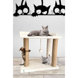 Ponponlu Kedi Tırmalaması ve Kedi Yatağı