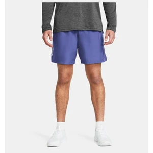 Under Armour Erkek UA Dokuma Wordmark Şort 1383356-561