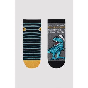 Erkek Çocuk Dino Macera 2 li Çok Renkli Soket Çorap
