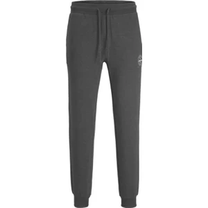 Jack & Jones Jjıgordon Sweat Pants At Noos- 12165322