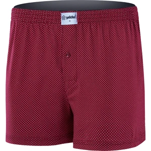 Yıldız Çamaşır 3'lü Nokta Desen Penye Havlu Bel Boxer %100 Pamuk Q43