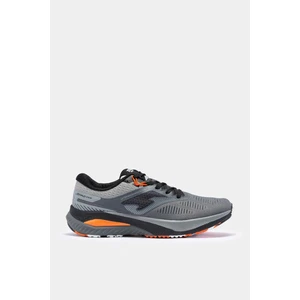 R.hıspalıs 2312 Grey Orange