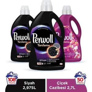 Yenileme Siyah 2x2.97L & Perwoll Yenileme Çiçek Cazibesi Renkliler 2.75L (3'lü Set)