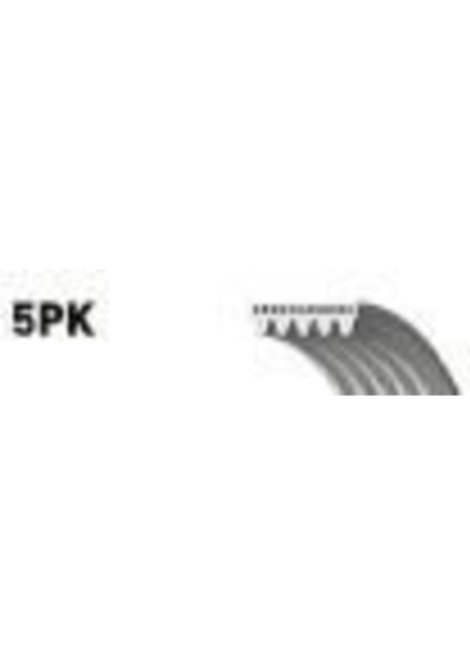 5PK1236SF V Kayısı Kanallı Pk I10 I20 1.2 Elastık Uyumlu
