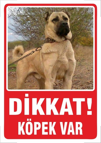 Uyarı ve Yönlendirme Levhaları " Dikkat Köpek Var " 25X35CM Dekota Levha