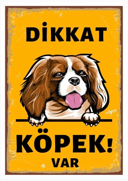 Uyarı Yönlendirme Levhaları "dikkat Köpek Var Cavalier King" Pvc 25X35 cm