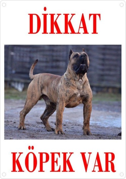 Dali's Dikkat Köpek Var Uyarı Levhası Renkli Presa Canario