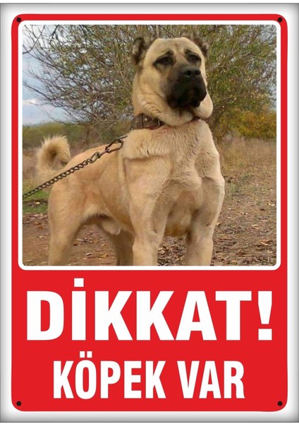 Uyarı ve Yönlendirme Levhaları " Dikkat Köpek VAR"25X35 cm Metal