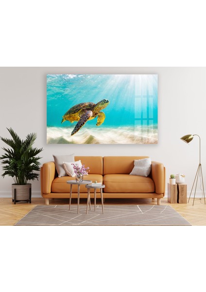 Su Kaplumbağası Tempered Cam Duvar Tablosu fiyatları