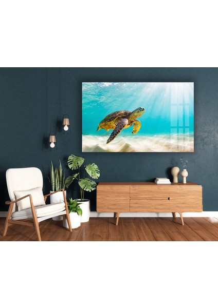 Su Kaplumbağası Tempered Cam Duvar Tablosu modelleri