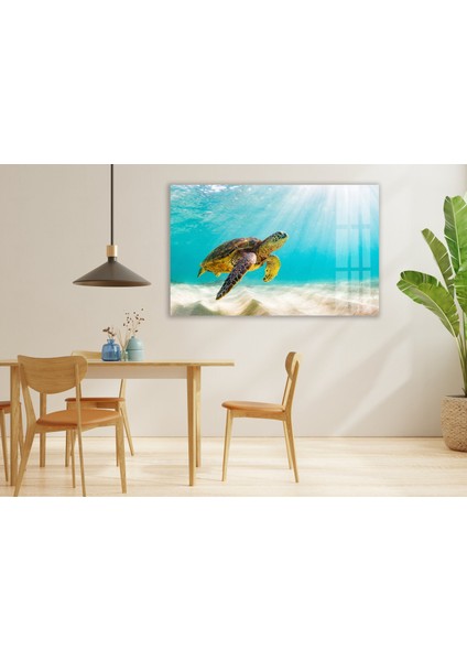 Su Kaplumbağası Tempered Cam Duvar Tablosu fırsatları