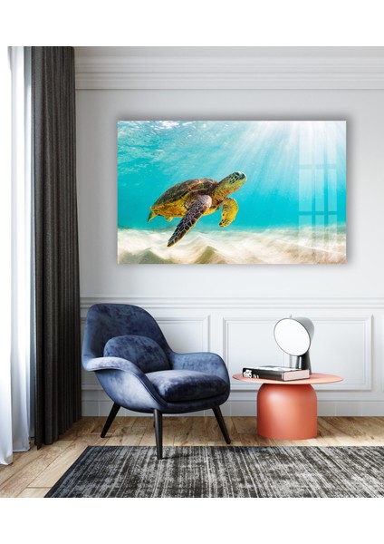 Su Kaplumbağası Tempered Cam Duvar Tablosu indirimleri