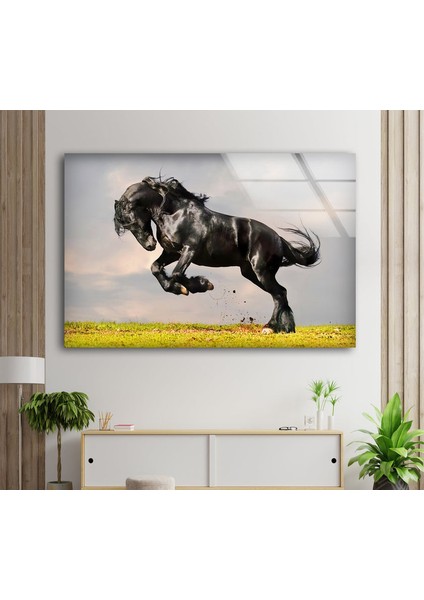 Kara At Tempered Cam Duvar Tablosu