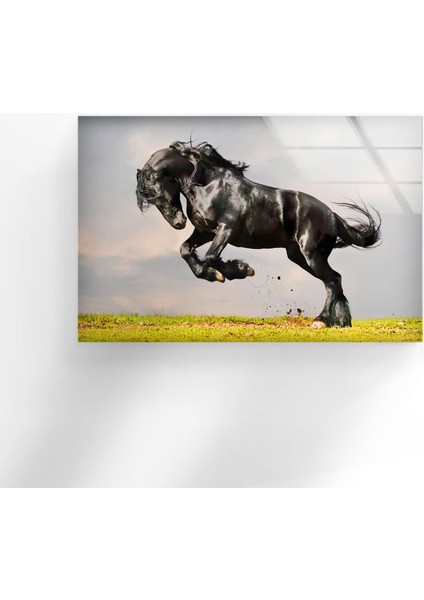 Kara At Tempered Cam Duvar Tablosu fiyatları