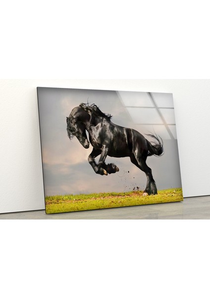 Kara At Tempered Cam Duvar Tablosu modelleri