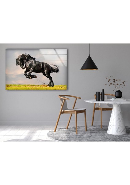 Kara At Tempered Cam Duvar Tablosu fırsatları