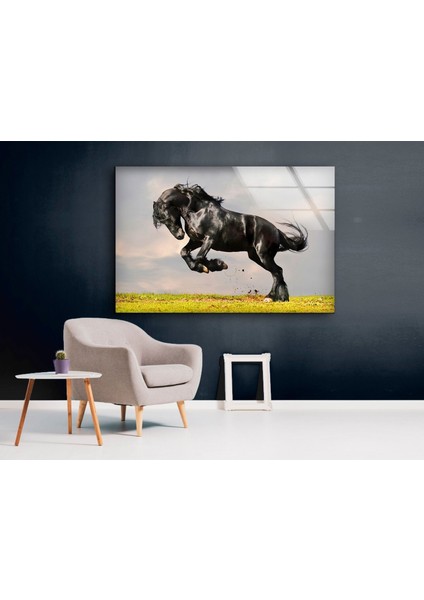 Kara At Tempered Cam Duvar Tablosu indirimleri