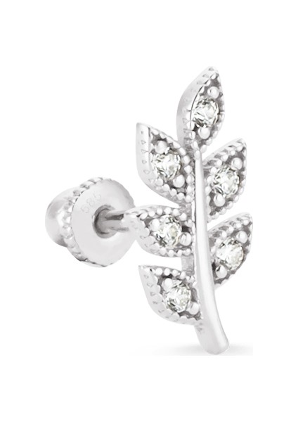 Beyaz Altın Zeytin Dalı Helix Piercing
