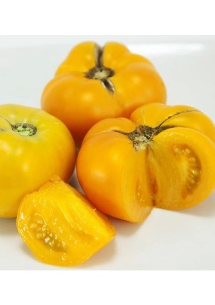 Big Yellow Domates (Tomatoes) Tohumu (15 Tohum)