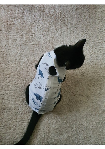 Ameliyat Sonrası Yara Bölgesini Koruyan Kedi Tulumu