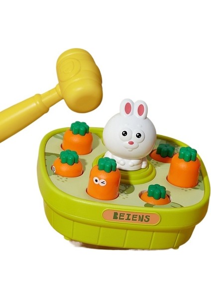 Bebek Eğitici Erken Eğitim Çocuk Oyuncakları (Yurt Dışından)