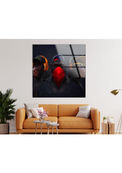 3 Maymun Temperli Cam Duvar Tablosu fiyatları