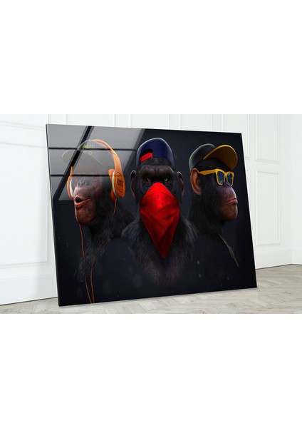 3 Maymun Temperli Cam Duvar Tablosu fırsatları
