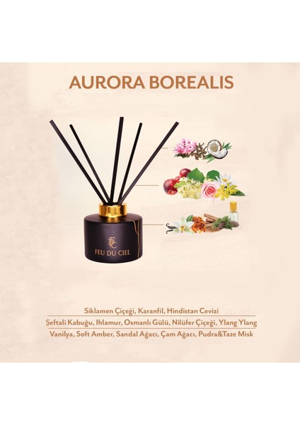 Signature Aurora Borealis Pudra Amber Oda Kokusu 150 ml