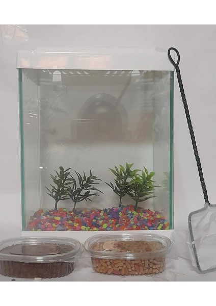 Mini Akvaryum Seti Küçük Akvaryum Beyaz Renk 20*26*15 cm Akvaryum-2 Bitki-2 Yem- Çakıl-Kepçe