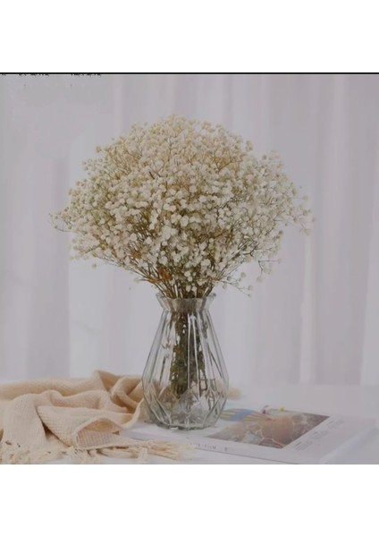 Şoklanmış Cipso Demeti Beyaz Krem Canlı Dökülmeyen Vazo Çiçeği