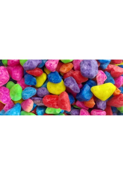 Mini Akvaryum Seti Küçük Akvaryum Full Set Akvaryum fiyatları