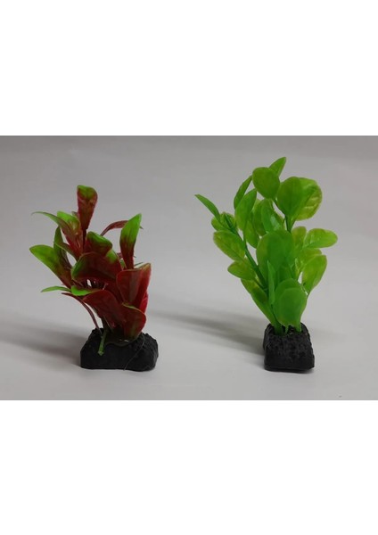 Mini Akvaryum Seti Küçük Akvaryum Full Set Akvaryum modelleri
