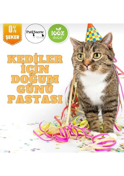 Kediler Için Doğum Günü Pastası/ Ödül Maması ve Taze