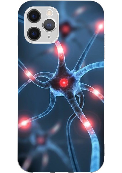 Apple iPhone Xr Kaplama N&ouml;ron