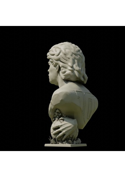 Maradona Bust 25CM modelleri