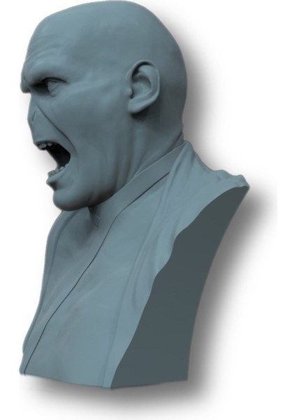Harry Potter - Voldemort 15CM Bust