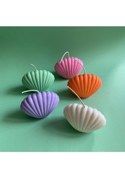 Büyük Boy Istiridye Mum Kalıbı Esnek ve Kaliteli Malzeme fiyatları