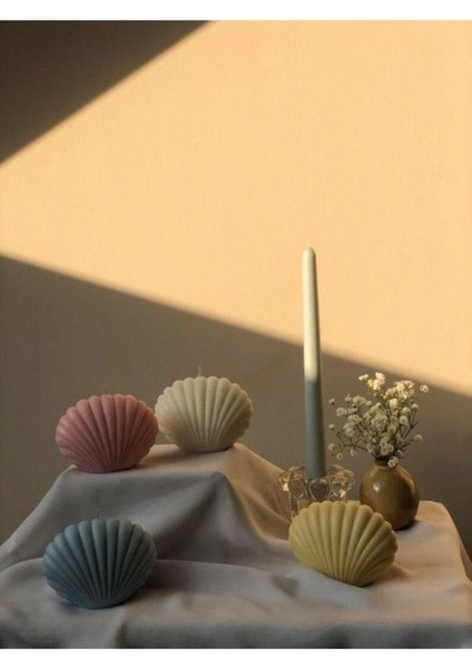 Büyük Boy Istiridye Mum Kalıbı Esnek ve Kaliteli Malzeme modelleri