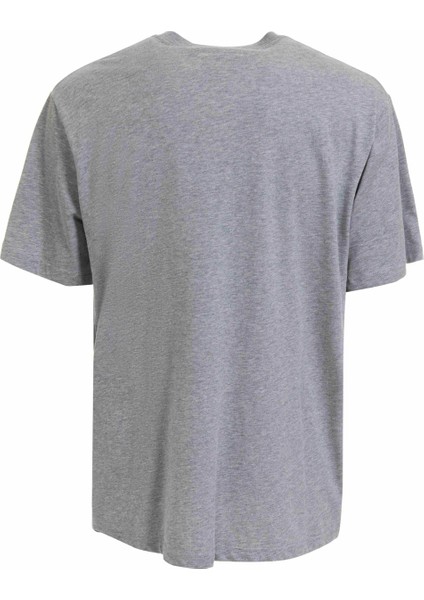 Bisiklet Yaka Gri Melanj Erkek T-Shirt 75OAHT00 fiyatları