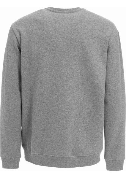Bisiklet Yaka Gri Melanj Erkek Sweatshirt 75OAIT00 fiyatları