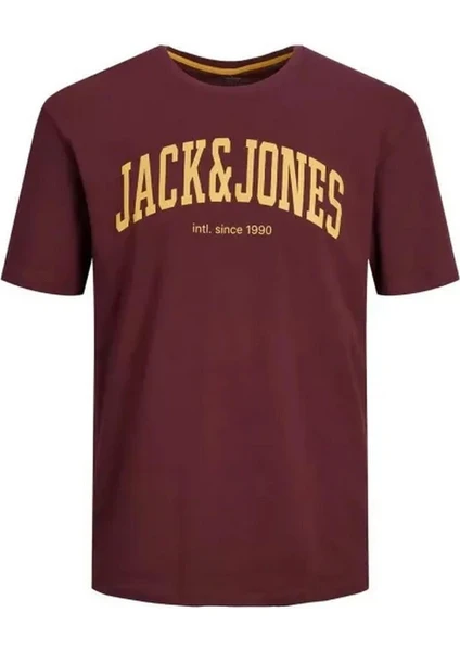 Jack & Jones Jjejosh Rahat Kesim Tişört 12236514