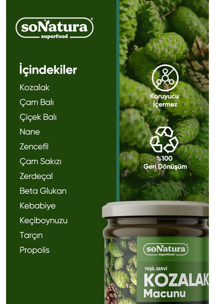 Kozalak Macunu (Yeşil Servi Kozalağı) 240 Gr. SO-V-002