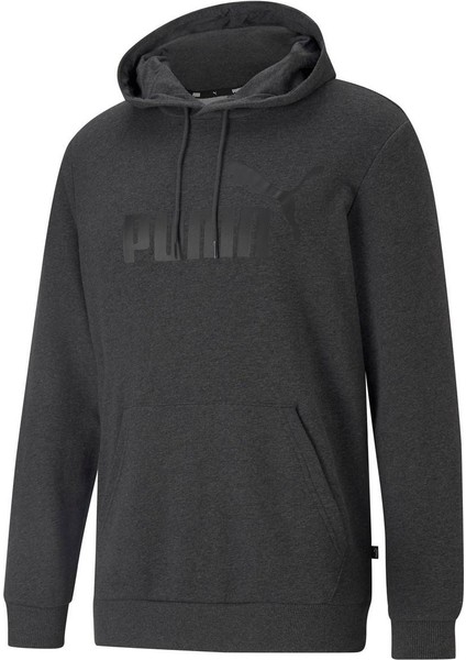Ess Big Logo Hoodie Gri Erkek Sweatshirt 58668807
