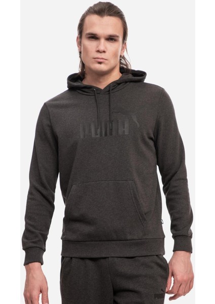 Ess Big Logo Hoodie Gri Erkek Sweatshirt 58668807 modelleri