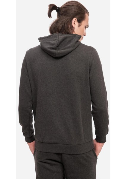 Ess Big Logo Hoodie Gri Erkek Sweatshirt 58668807 indirimleri