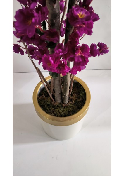 Rüzgar Yapay Çiçekçilik 30 x 30 cm Krem Gold Saksıda180 cm Bahardalı Ağacı modelleri