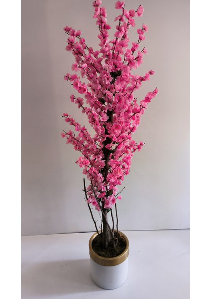 Rüzgar Yapay Çiçekçilik 30 x 30 cm Krem Gold Saksıda 200 cm Bahardalı Ağacı